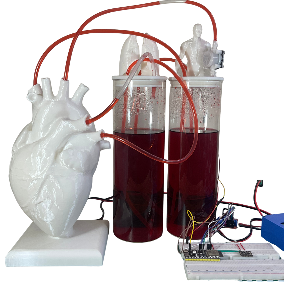 HemoLoop Cardiovascular Simulator